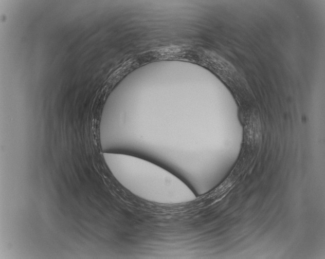 X0000080771346200612150949