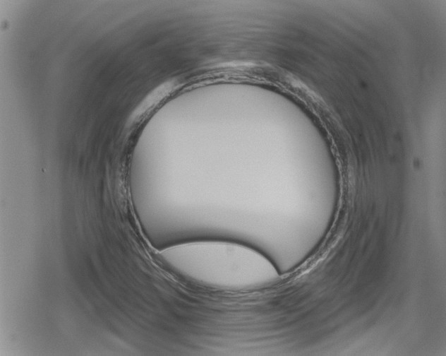 X0000080771354200612150948
