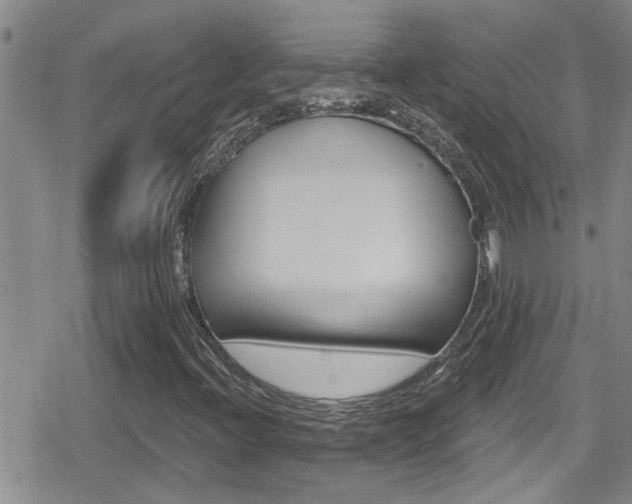 X0000080771396200612150947