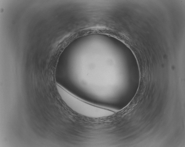 X0000080771398200612150947