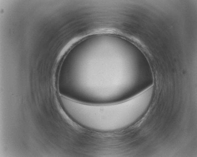 X0000080771422200612150947