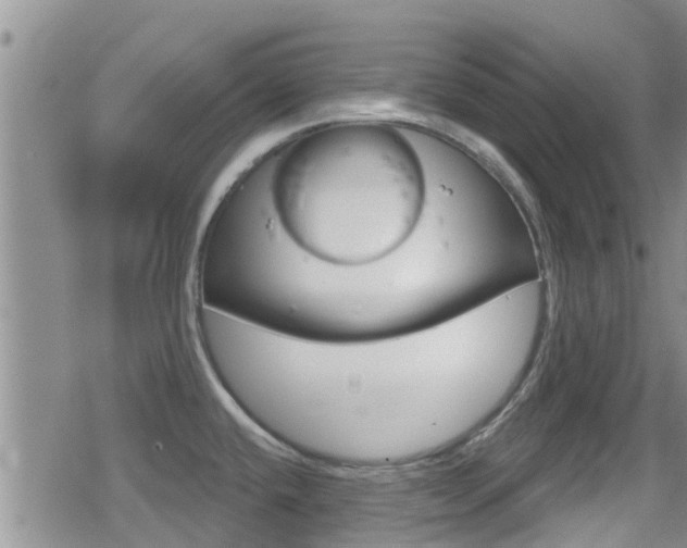 X0000080771432200612150948