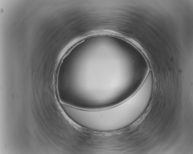 X0000080771438200612150948