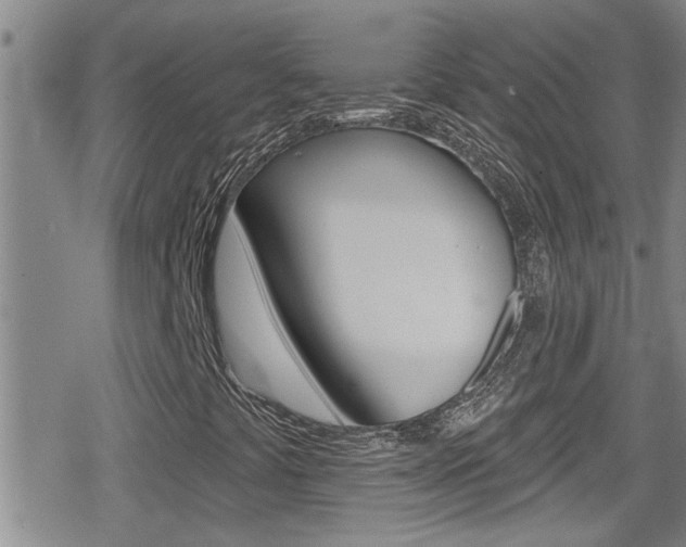 X0000080771441200612150947