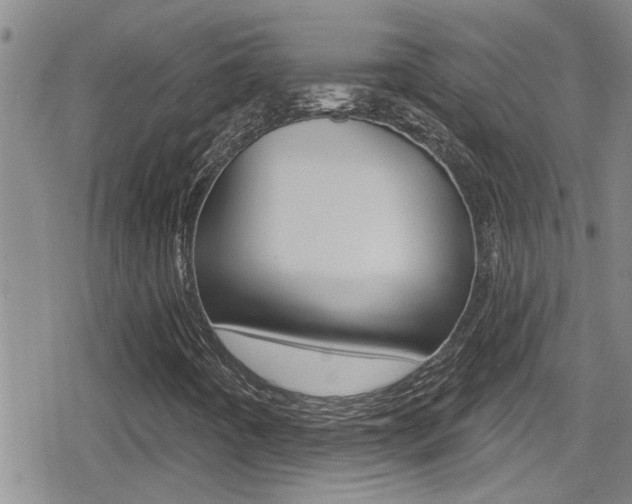 X0000080771442200612150947
