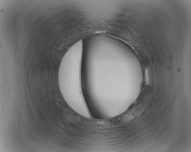 X0000080771443200612150947