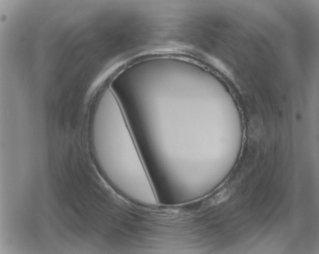 X0000080771456200612150947