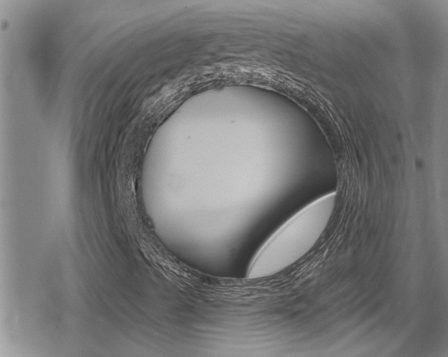 X0000080771489200612150945