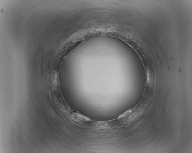 X0000080771492200612150946