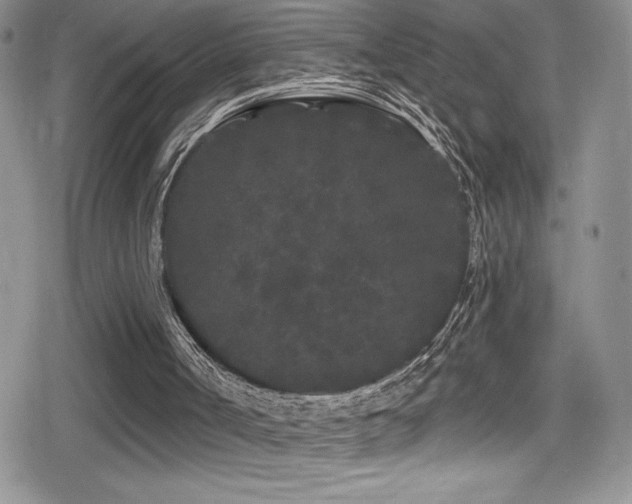 X0000080770002200612151446