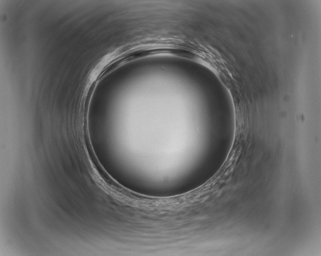 X0000080770003200612151446