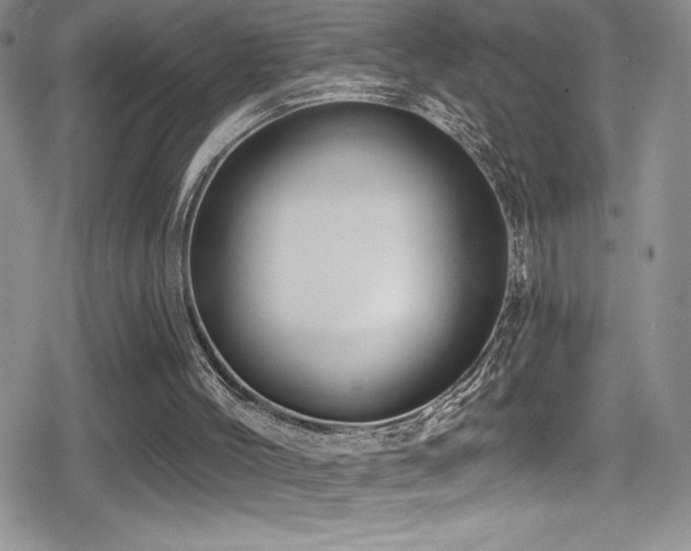 X0000080770004200612151446