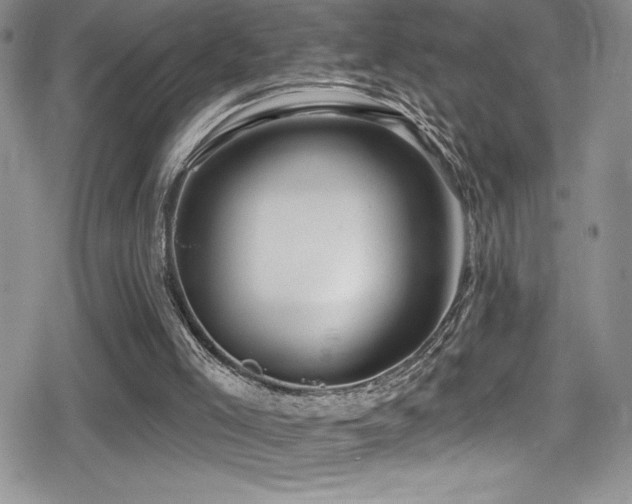X0000080770005200612151446
