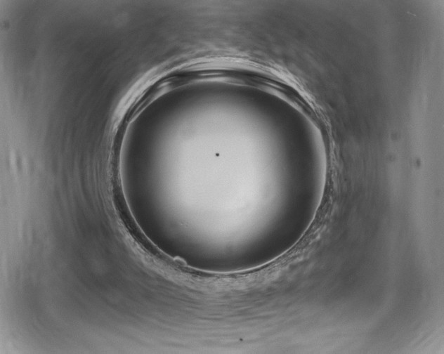 X0000080770007200612151446