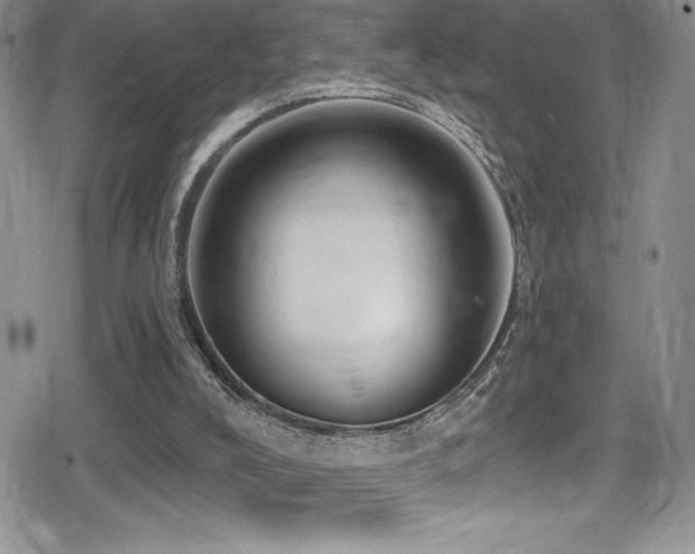 X0000080770008200612151446