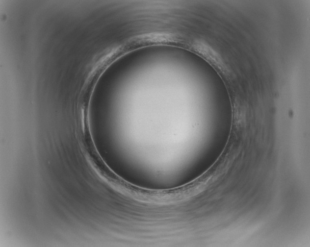 X0000080770014200612151446