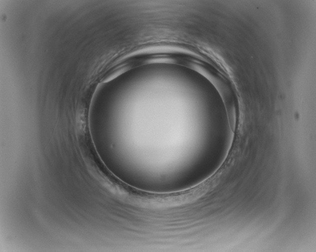 X0000080770017200612151446