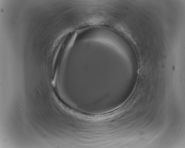 X0000080770019200612151446
