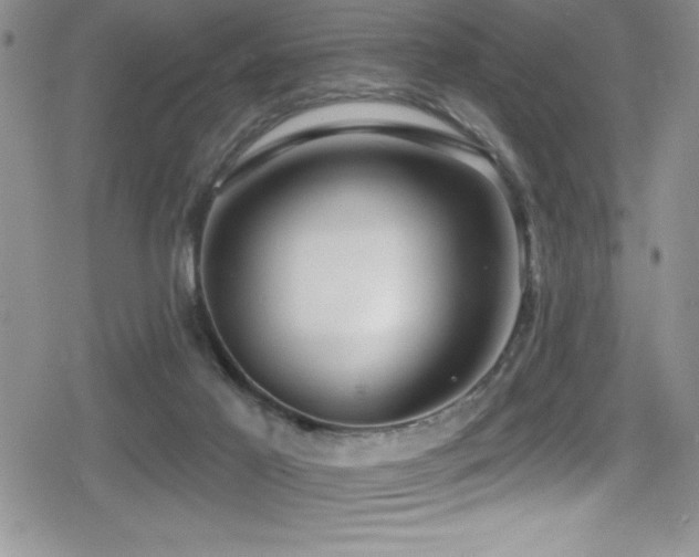 X0000080770021200612151446