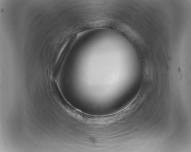 X0000080770025200612151446