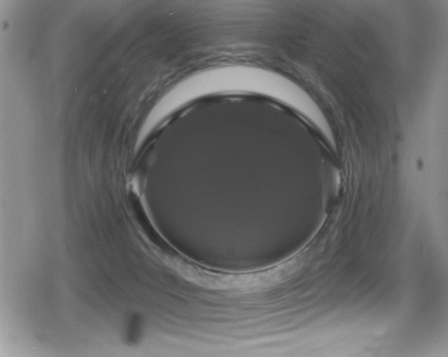 X0000080770031200612151446