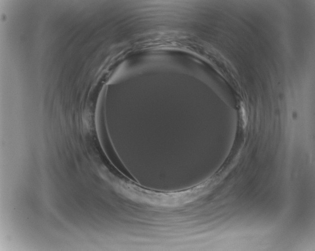 X0000080770035200612151446