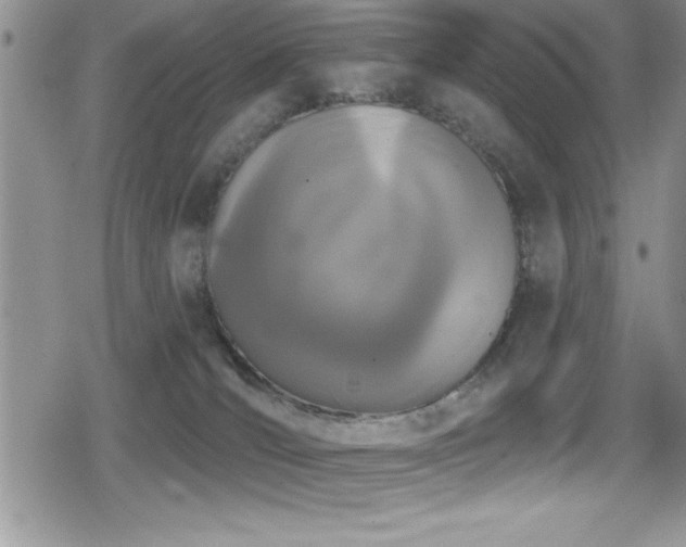 X0000080770036200612151446