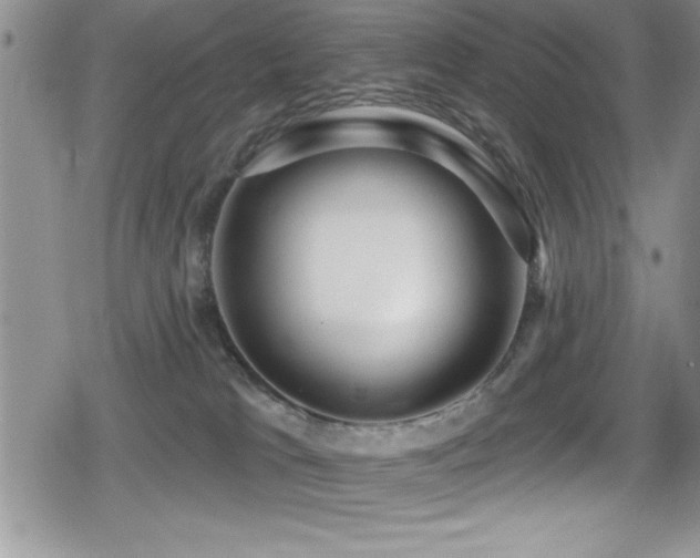 X0000080770037200612151446