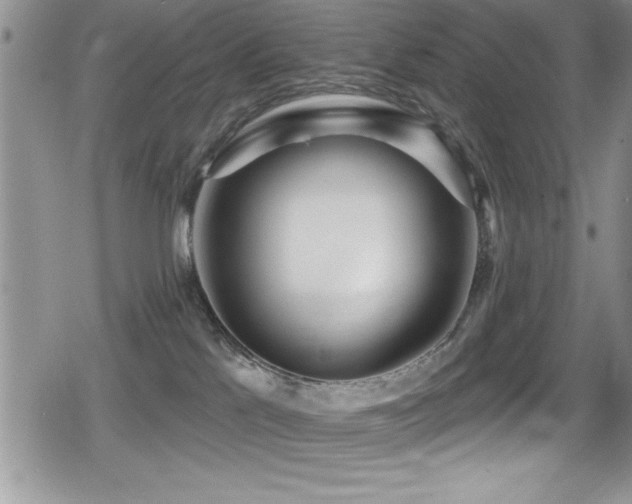X0000080770041200612151445