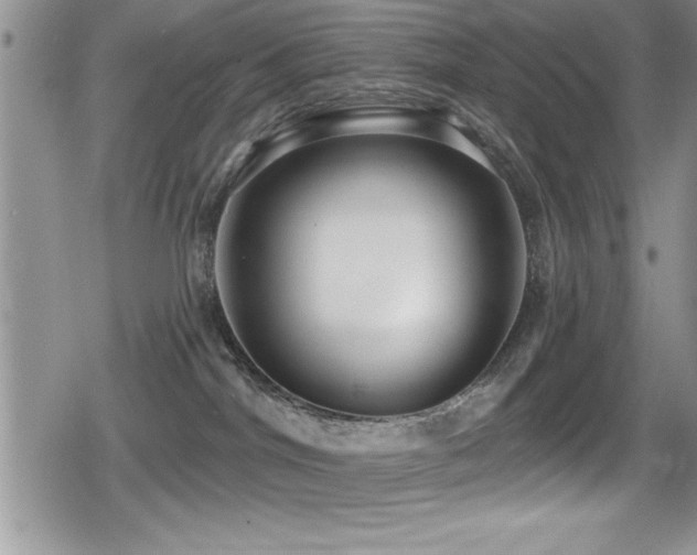 X0000080770044200612151445