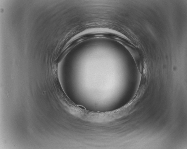 X0000080770045200612151445