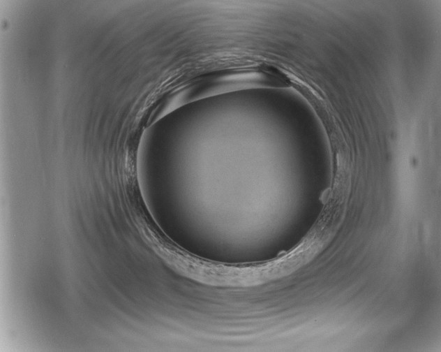 X0000080770048200612151445