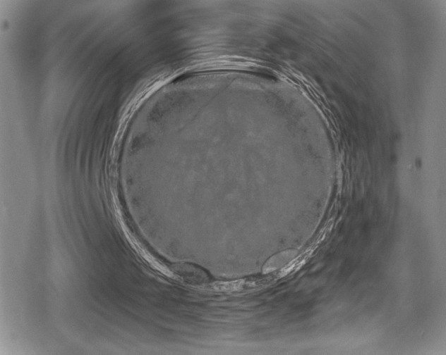 X0000080770049200612151445