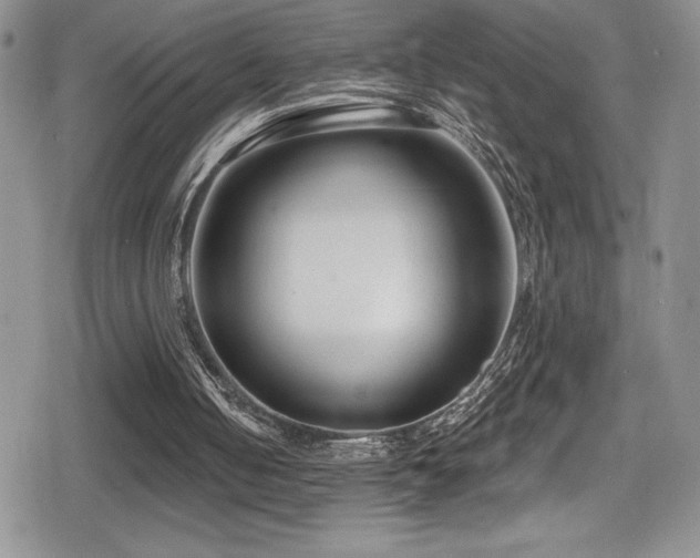 X0000080770050200612151445