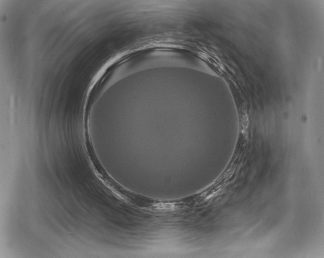X0000080770052200612151445