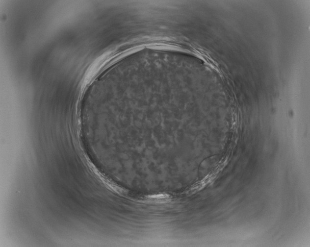 X0000080770053200612151445