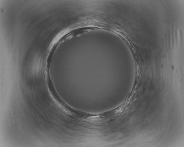 X0000080770054200612151445