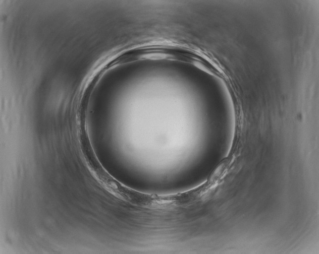 X0000080770055200612151445