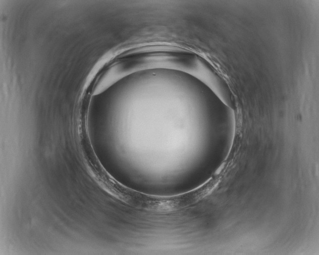 X0000080770056200612151445