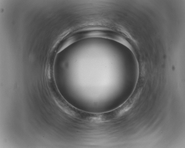 X0000080770068200612151445
