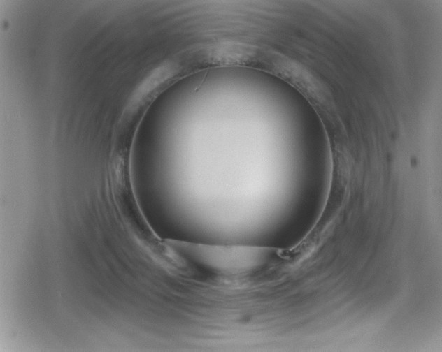 X0000080770071200612151445