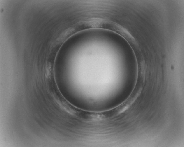 X0000080770073200612151445