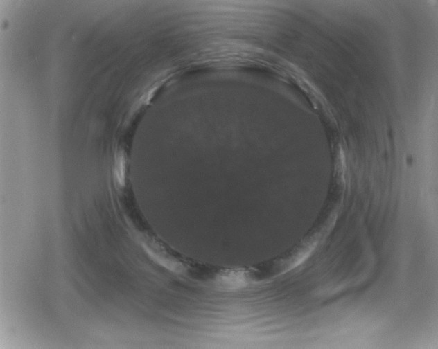 X0000080770076200612151445