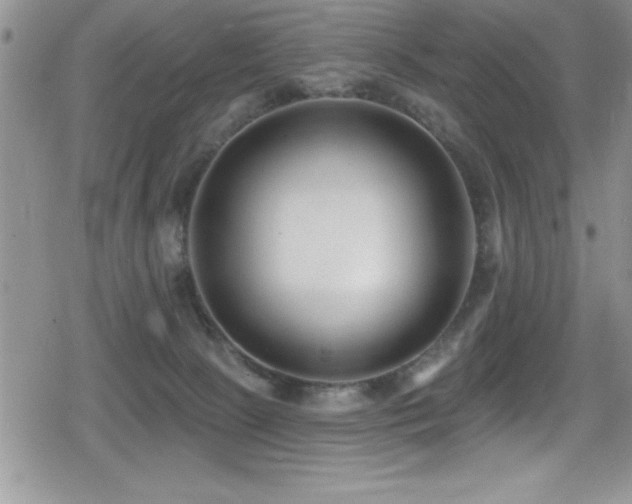 X0000080770081200612151445