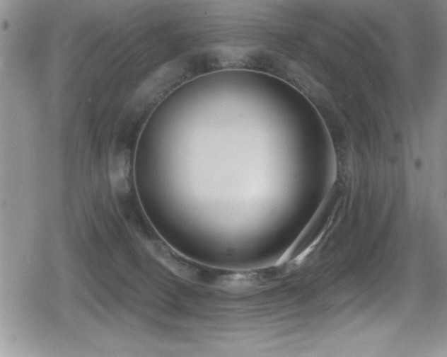 X0000080770082200612151445