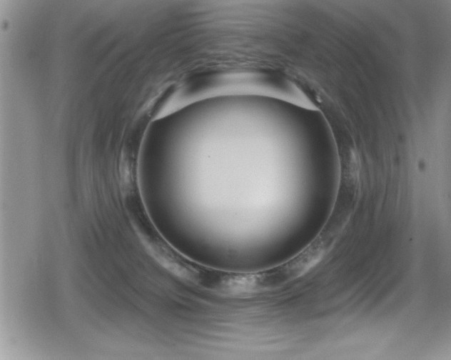 X0000080770084200612151445