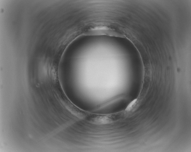 X0000080770086200612151445