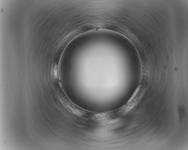 X0000080770095200612151445