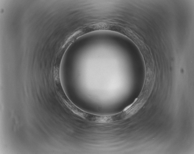 X0000080770096200612151445
