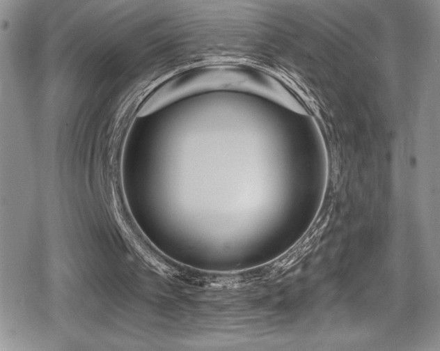 X0000080770097200612151445